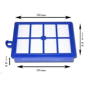 Electrolux Washable H12 Hepa Filter pas cher