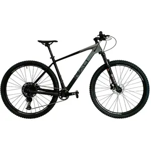 Rali Vtt C6 29´´ Deore 2025 LVendu parbikeinn