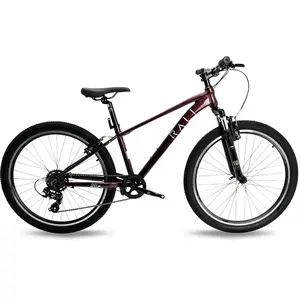Rali Vtt Pro 1 26´´ Ty300 2025 One SizeVendu parbikeinn