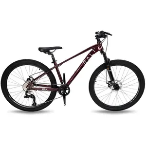 Rali Vtt Pro 0 26´´ Ty300 2025 One SizeVendu parbikeinn