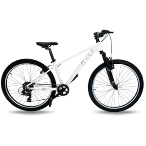 Rali Vtt Pro 1 26´´ Ty300 2025 One SizeVendu parbikeinn