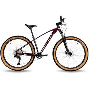 Rali Vtt Adv I 29´´ Cues 2025 MVendu parbikeinn