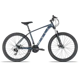 Rali Vtt A1 29´´ Ty300 2025 SVendu parbikeinn
