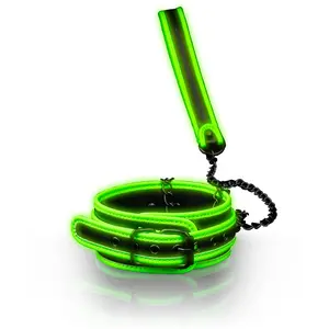 Comparateur de prix : OUCH! - COLLAR CON NEÓN - GLOW IN THE DARK