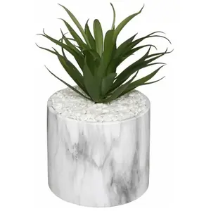 Plante Grasse Artificielle - SILUMEN - 18cm - Blanc - Objet Décoratif pas cher