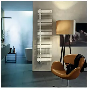 Zehnder Yucca Asym Sèche-serviettes, fonctionnement mixte ou à eau cha...