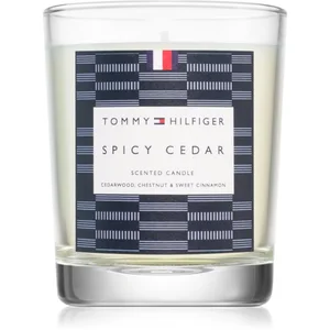 Tommy Hilfiger Home Collection Spicy Cedar bougie 180 g pas cher