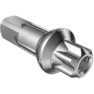 Comparateur de prix : DT Swiss Boîte de 100 tétons en Laiton à tête Pro Squorx Argenté 2 mm x 15 mm