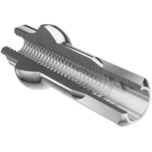 Dt Swiss écrou De Rayon De Vélo Squorx Pro Head Anodized 100 Unités 2.0 x 15 mmVendu parbikeinn
