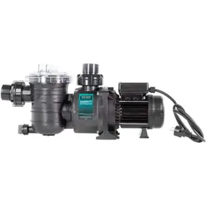 Pompe de filtration Swimmey - Monophasée - PENTAIR - 0.75kW1CV pas cher