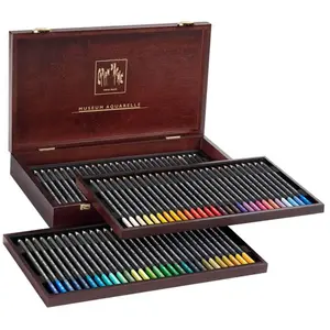 Caran d-ache 3510.476 crayon de couleur multicolore 80 pièce(s) pas cher