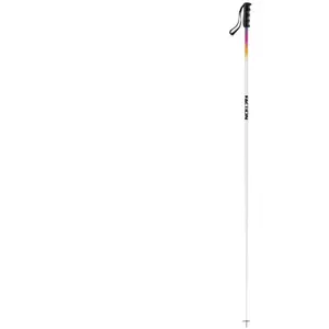 Comparateur de prix : Bâtons de ski alpin FACTION Faction Lite (White)
