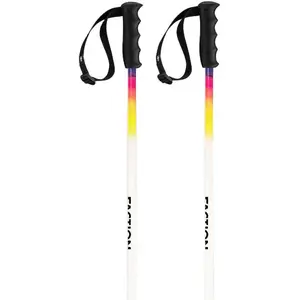 Comparateur de prix : Bâtons de ski alpin FACTION Faction Lite (White)