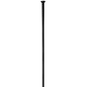 Rayon droit DT Swiss competition straight pull 2.0x1.8x2.0x303 mm TU pas cher