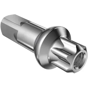 Dt Swiss écrou De Rayon De Vélo Brass Squorx Pro Head 2.0/fg 2.3 15 mmVendu parbikeinn