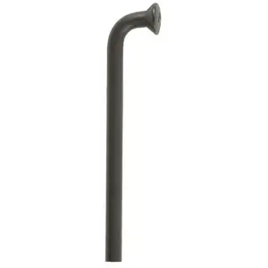 Comparateur de prix : Rayon Coudé Dt Swiss Champion M 2x296 Mm Inoxydable
