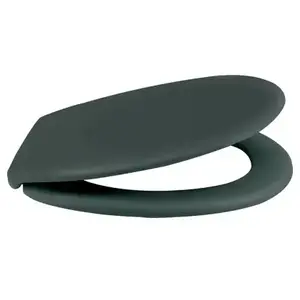 Comparateur de prix : SPIRELLA Abattant Wc Thermo Dur Neela Vert Foncé Mat - Charnières Abs Chromé
