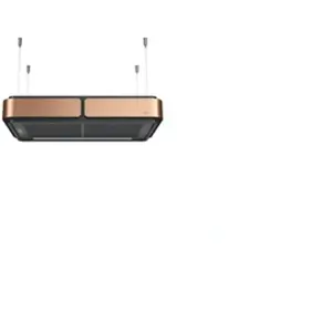 Roblin CELESTE 800 NOIR MAT / CUIVRE (6503203) pas cher