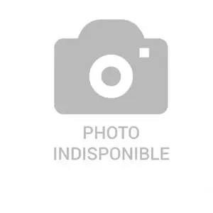 Accessoire Haut De Conduit Roblin 6405213 pas cher