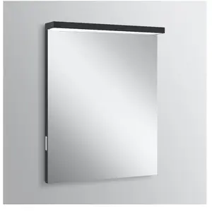 Schneider ADVANCEDLINE Miroir, 197.060.01.41, ALU1/SP 60/TWVendu parkaufland