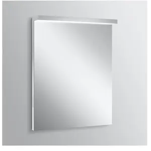 Schneider BORDO Miroir, 197.050.01.50, ALU1/SP 50/TWVendu parkaufland