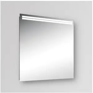 Schneider ARANGALINE Miroir, 160.251.01.00, ARA/SP 50/LED/SDVendu parreuter