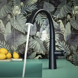 KWC Zoe Mitigeur de cuisine pivotant, avec douchette extractible, 10.2...