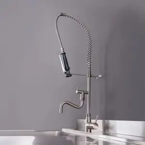 KWC Gastro E Mitigeur de cuisine pivotant, avec douchette extractible,...