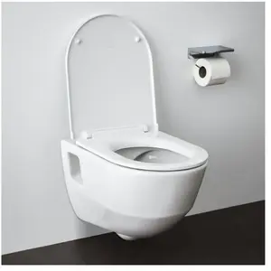 LAUFEN Pro Cuvette suspendue avec abattant WC, H8669540000001,Vendu paramazon