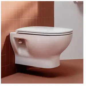 LAUFEN LUA Cuvette suspendue, H8200810000001, pas cher