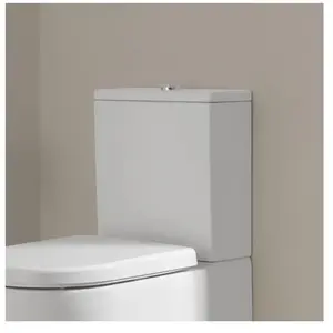 LAUFEN Pro Réservoir de chasse, H8299510009711,Vendu paramazon