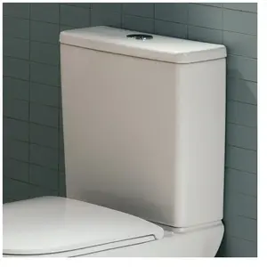 LAUFEN LUA Réservoir de chasse, H8270810009711,Vendu paramazon