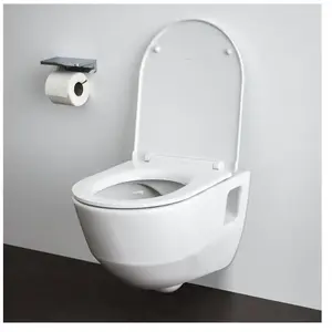 Pro - wc suspendu, 530x360 mm, Rimless, blanc H8209640000001 - LaufenVendu paramazon