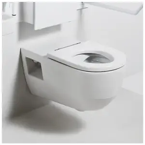 LAUFEN Pro Liberty Cuvette suspendue version rehaussée et allongée, H8219600000001,Vendu paramazon