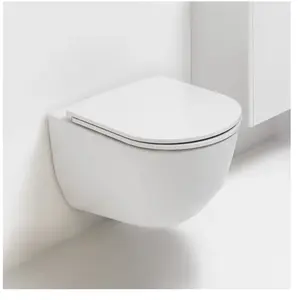 LAUFEN Pro Cuvette suspendue à fond plat, H8209590000001Vendu paramazon