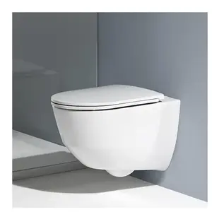 Wc Suspendu, 530X360 Mm, Rimless, Avec Lcc, Blanc Laufen 8209660000001Vendu paramazon