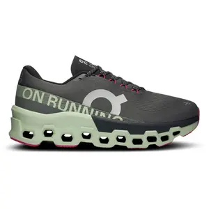 Comparateur de prix : On-Running Cloudmonster 2 Chaussures homme Gris/argent 44.5