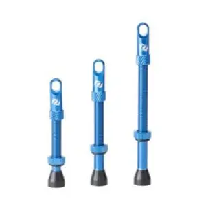 Paire de valves tubeless syncros presta bleu pas cher