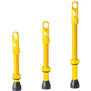 Paire de valves tubeless syncros presta gold pas cher
