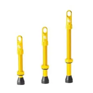 Paire de valves tubeless syncros presta gold pas cher