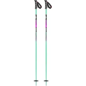 Comparateur de prix : Bâtons de ski SCOTT Team Issue SRS (mint green)