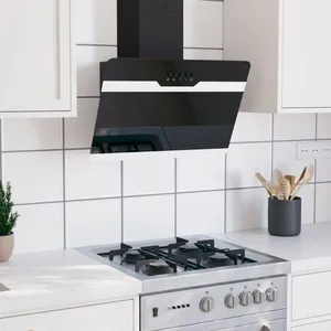 VIDAXL CLOUD Hotte aspirante Cuisine - Hotte murale 60 cm Acier et ver... pas cher