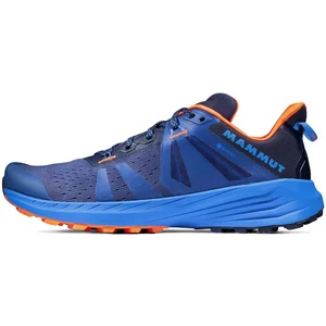 Mammut Chaussures De Randonnée Saentis Tr Low Goretex pas cher