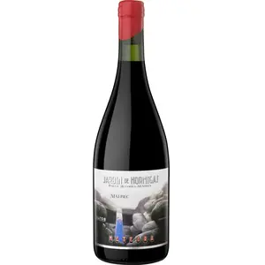 Altos Las Hormigas Meteora Malbec 2021 0.75 l pas cher