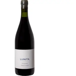 Bodega Chacra Lunita Pinot Noir 2025 pas cher