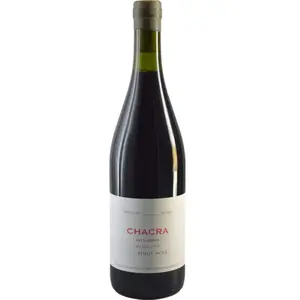Bodega Chacra Treinta y Dos Pinot Noir 2023 pas cher