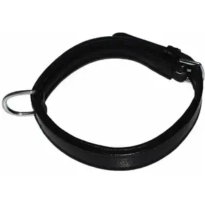 Collier pour chien Hekktor Bor Noir S CO-BO-NO pas cher