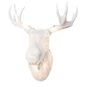 Comparateur de prix : Northern Applique de designer Moo aussi pour l’extérieur