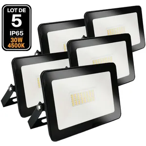 5 Projecteur led 30W Ipad Blanc neutre 4000K Haute Luminosité
