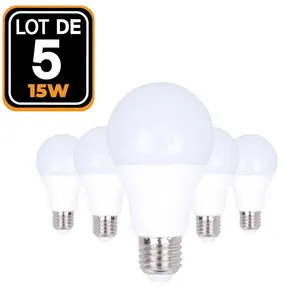 EUROPALAMP 5 Ampoules led E27 15W 6000K Blanc Froid Haute Luminosité pas cher